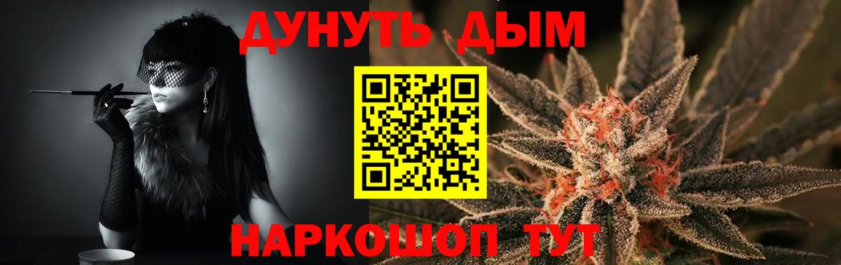 Канабис сатива  Конопля планчик  Канабис план  Минеральные Воды  Вход с VPN 